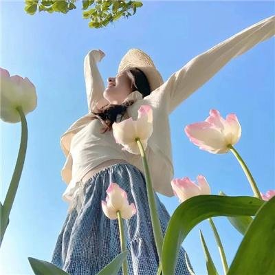 我老死苏怡